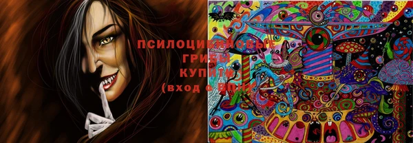 соль курить ск Надым