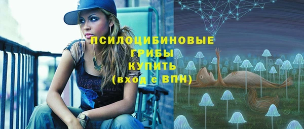 соль курить ск Надым
