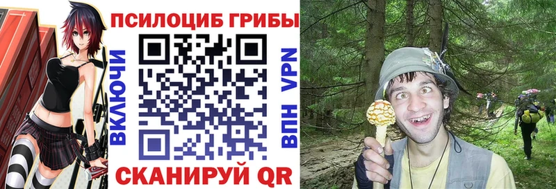 Купить где  Уяр  Псилоцибиновые грибы Psilocybine cubensis 